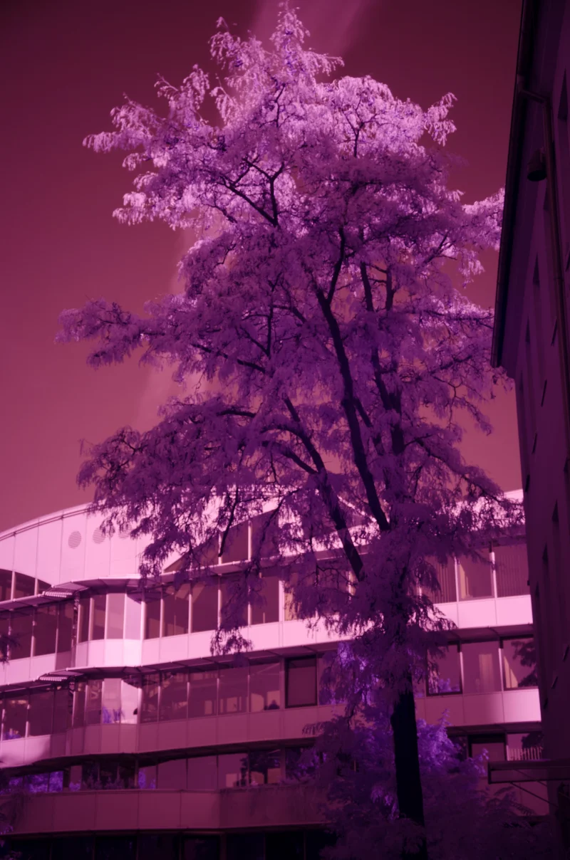 Infrared