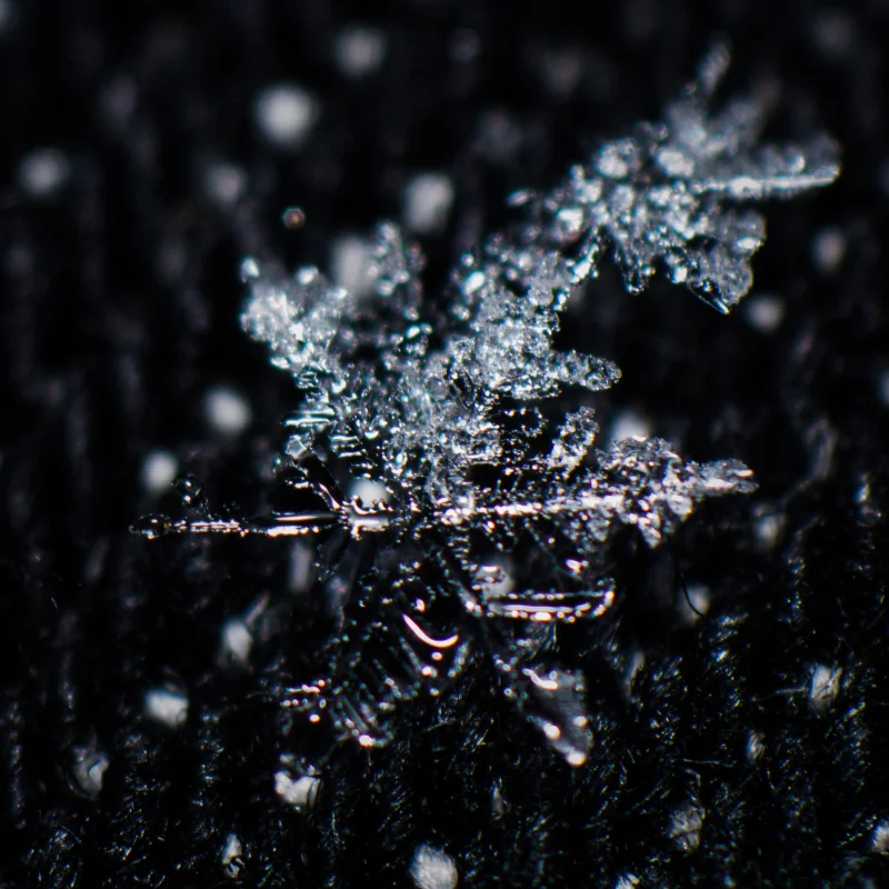 Macro